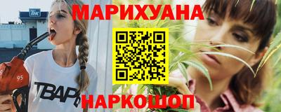 индика Заводоуковск