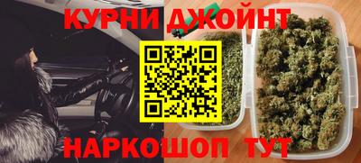 индика Заводоуковск