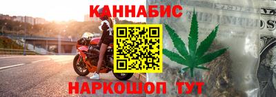 индика Заводоуковск