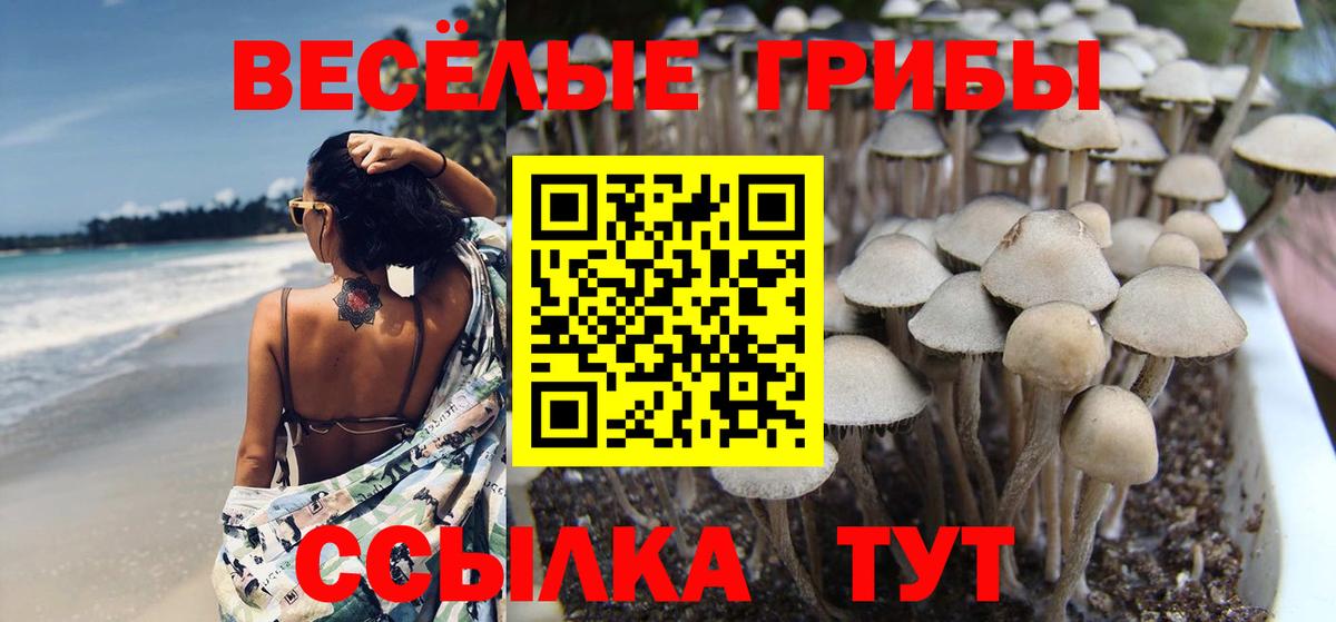 Галлюциногенные грибы мухоморы Унеча