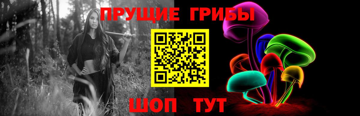 Галлюциногенные грибы мицелий  Псилоцибиновые грибы Magic Shrooms  Унеча  Вход с VPN 